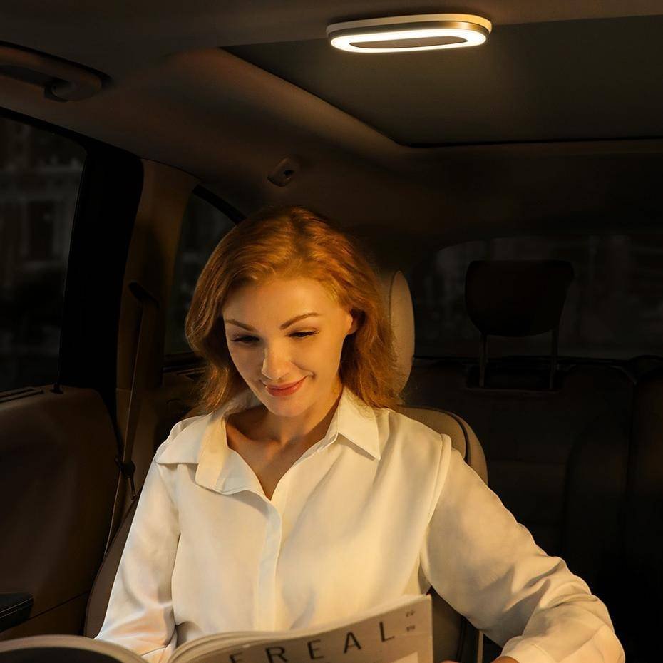 Car Reading Light